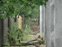 Imagine atasata: Extindere troleibuz Calea Lipovei - 2015.05.28 - 16.jpg